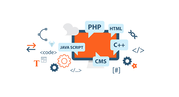 dynamic website company in bhopal